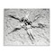 Stupell Industries Women on Beach in Star Shape Canvas Design by Arlington Prints